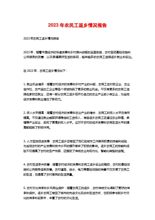 2023年农民工返乡情况报告