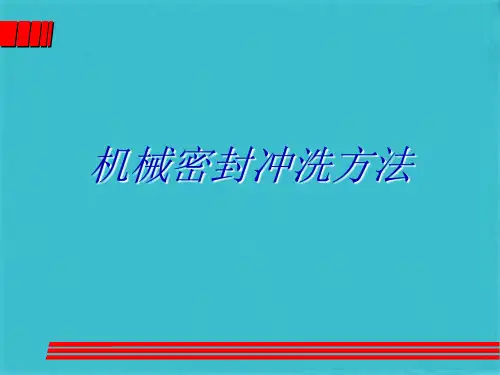 机械密封冲洗方法(共49张PPT)