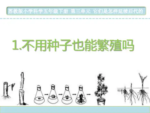 苏教版小学科学五年级下册第三单元《1.不用种子也能繁殖吗》教学课件PPT4
