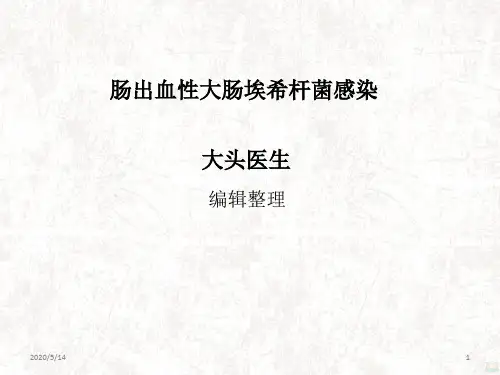 肠出血性大肠埃希杆菌感染PPT课件