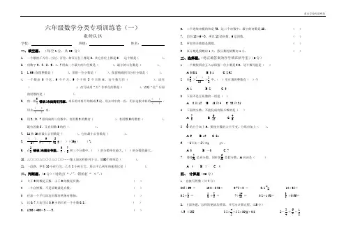 (内部密卷)六年级数学分类专项训练卷(一)
