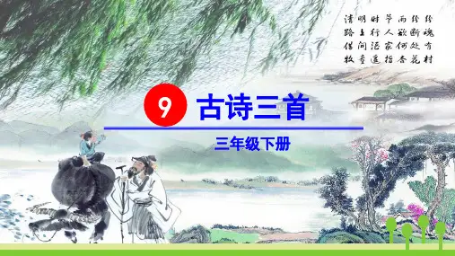 部编版三年级语文下册第9课《古诗三首》精美课件(统编)