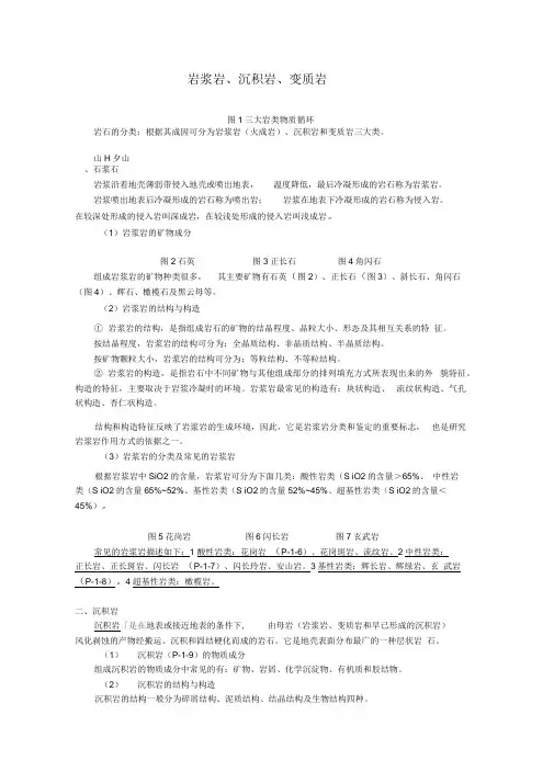 岩浆岩、变质岩、沉积岩