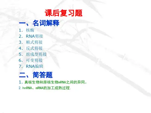 分子生物学导论 第8章 蛋白质生物合成 ppt课件