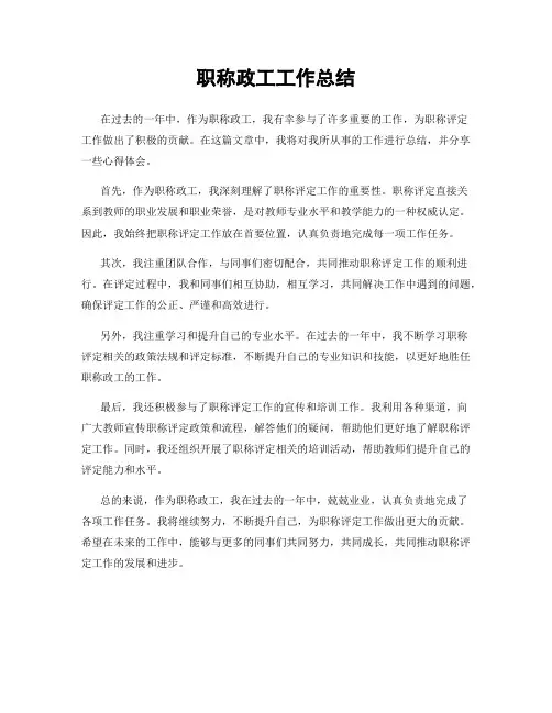 职称政工工作总结