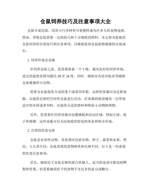 仓鼠饲养技巧及注意事项大全