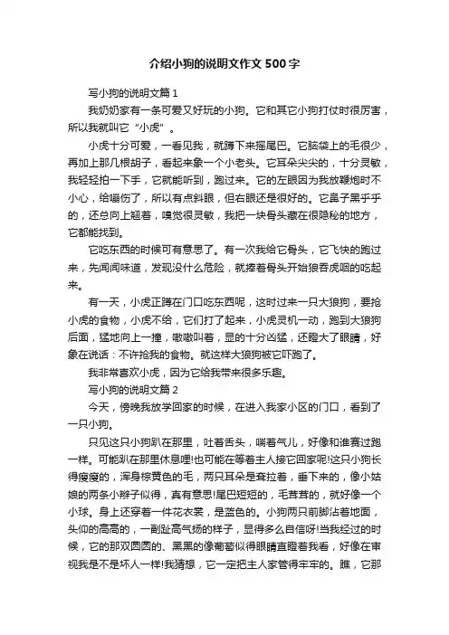 介绍小狗的说明文作文500字