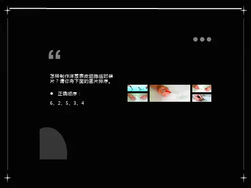 《动物细胞》ppt课件