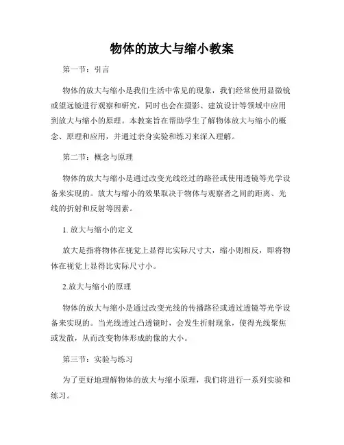 物体的放大与缩小教案