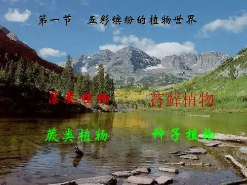 2014苏教版14.1五彩缤纷的植物世界