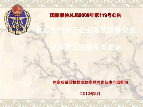 2009年第119号公告PPT