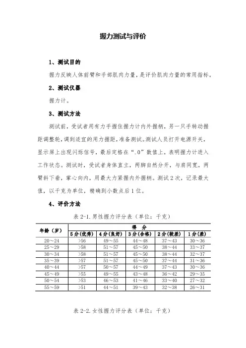 握力测试与评价【健身指南】