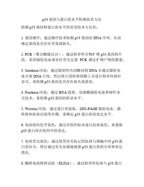 p53基因与蛋白质水平检测技术方法