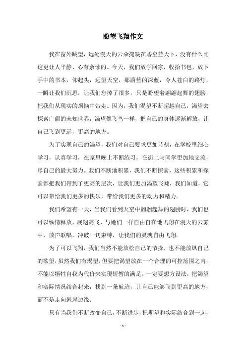 盼望飞翔作文