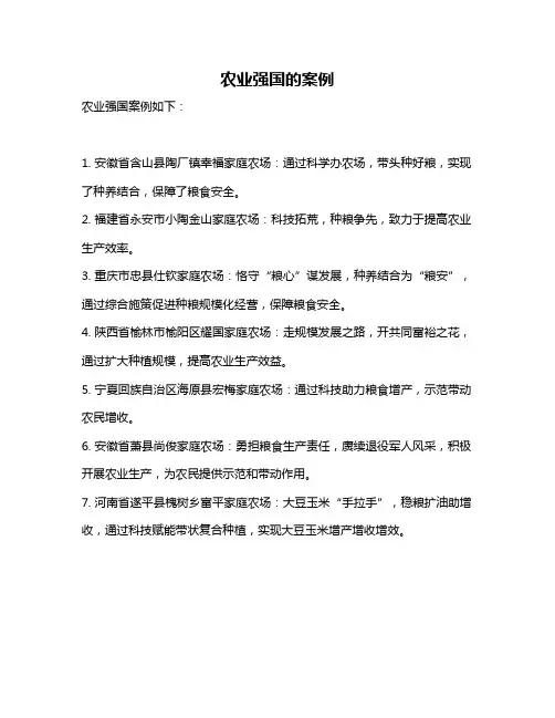 农业强国的案例