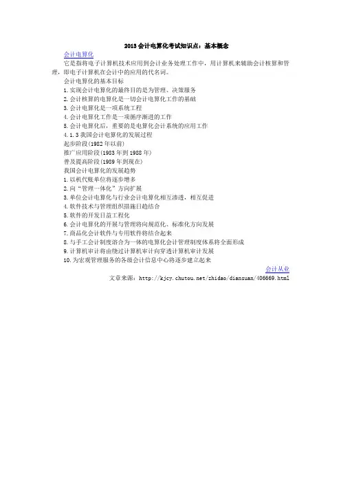 2013会计电算化考试知识点
