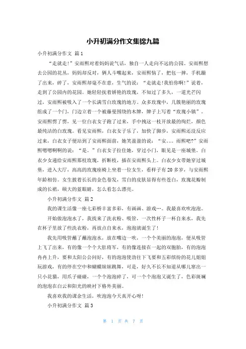 小升初满分作文集锦九篇