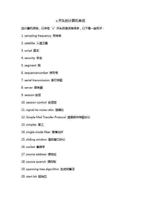 s开头的计算机单词