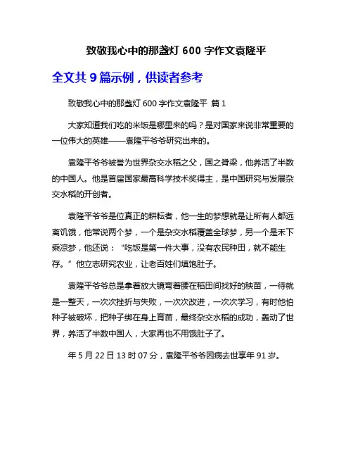 致敬我心中的那盏灯600字作文袁隆平