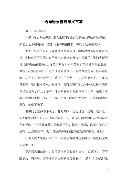 选择坚强精选作文三篇