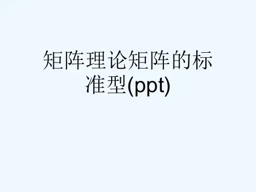 矩阵理论矩阵的标准型(ppt)