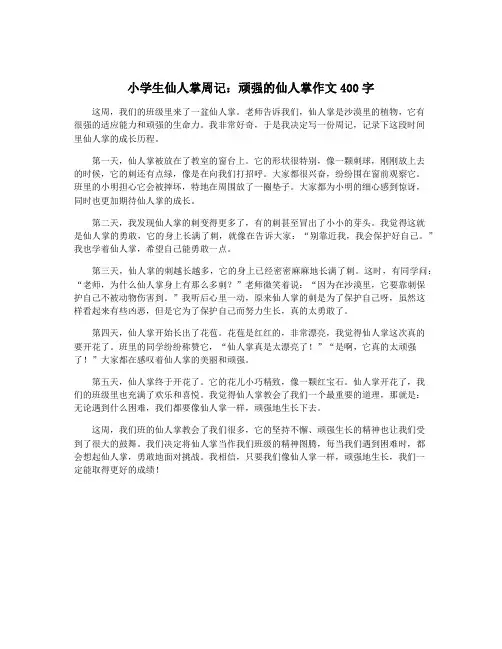 小学生仙人掌周记：顽强的仙人掌作文400字
