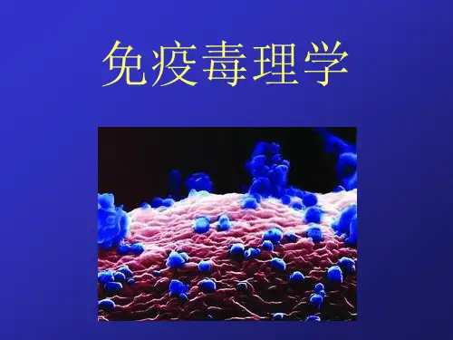 免疫毒性
