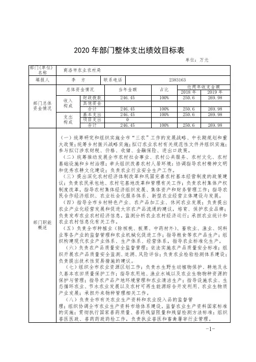 2020年部门整体支出绩效目标表