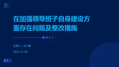 在加强领导班子自身建设方面存在问题及整改措施