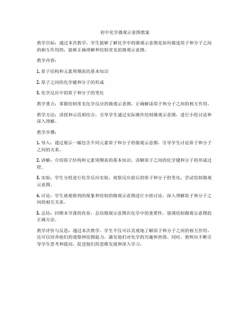 初中化学微观示意图教案
