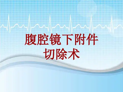 外科手术教学资料：腹腔镜下附件切除术讲解模板