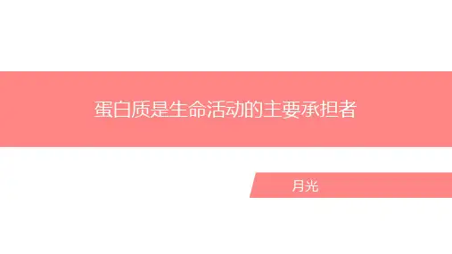 2.4蛋白质是生命活动中的主要承担者课件高一上学期生物人教版必修1