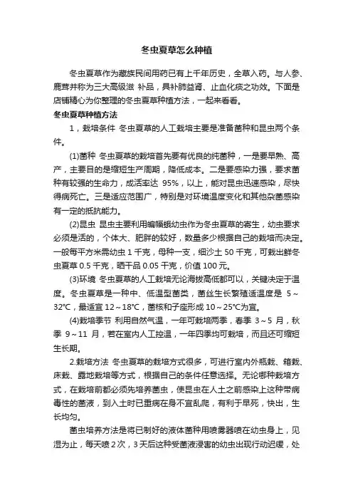 冬虫夏草怎么种植