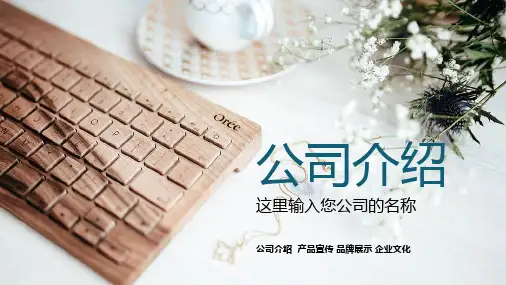 公司介绍企业宣传公司简介ppt模板