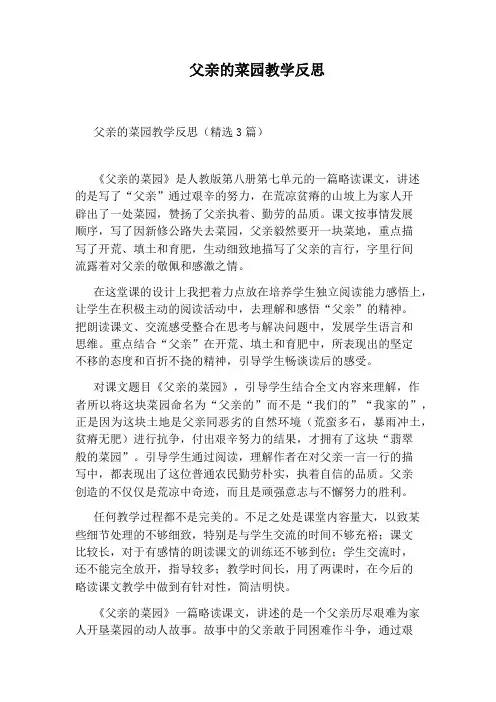 父亲的菜园教学反思