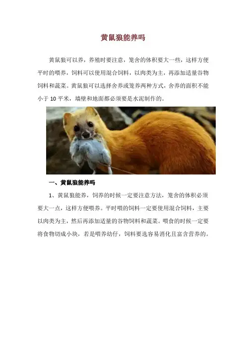 黄鼠狼能养吗