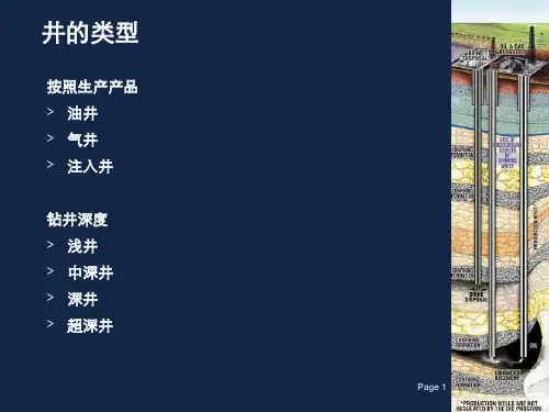 钻井及井控保险.ppt