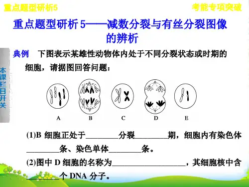 【步步高】高考生物一轮复习 第五单元考能专项突破课件