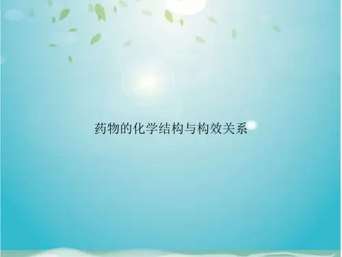 药物的化学结构与构效关系