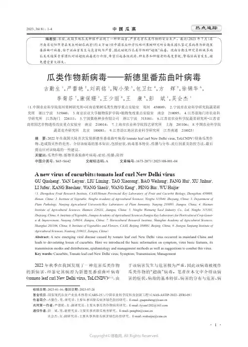 瓜类作物新病毒——新德里番茄曲叶病毒