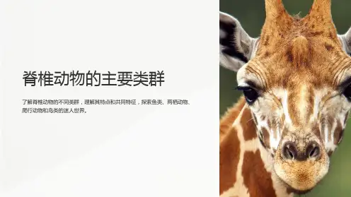 七年级生物上册2.2.2脊椎动物的主要类群课件1新版济南版