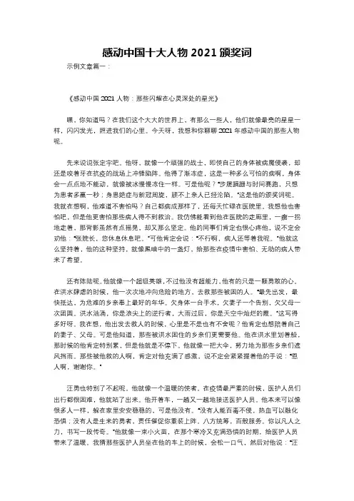 感动中国十大人物2021颁奖词