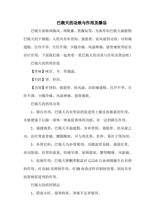 巴戟天的功效与作用及禁忌 2