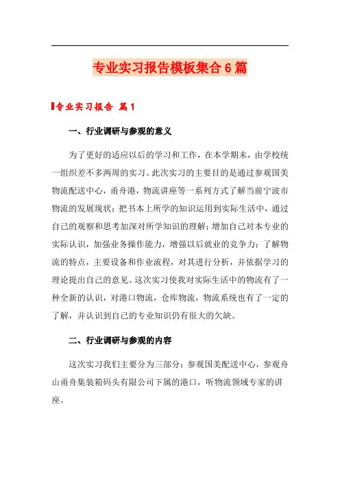 专业实习报告模板集合6篇(word版)