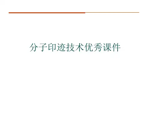 分子印迹技术优秀课件