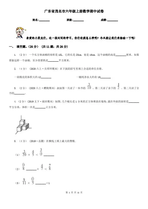 广东省茂名市六年级上册数学期中试卷