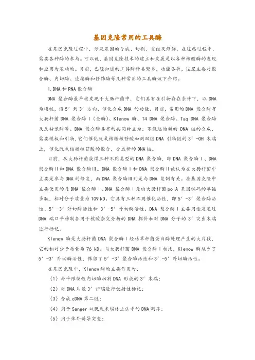基因克隆常用的工具酶