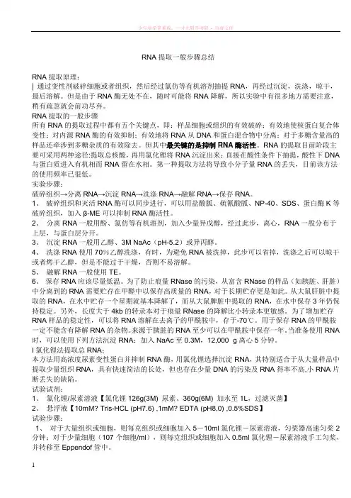 rna提取一般步骤总结