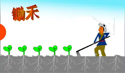 人教版小年一年级语文《锄禾日当午》图文课件