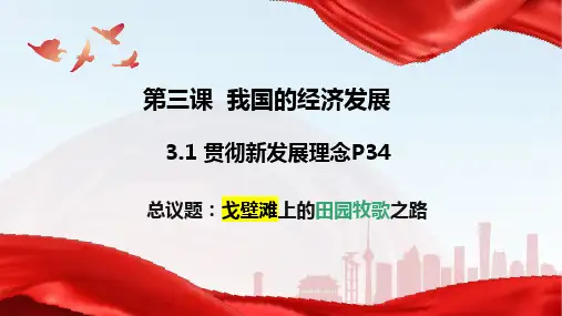 3.1贯彻新发展理念课件-高中政治必修二经济与社会2